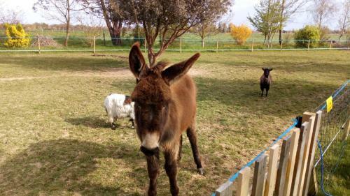 Bed & Breakfast La Pastorale