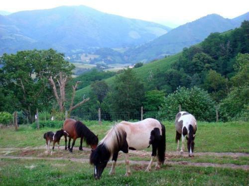 G�te Bidarray, 4 Pi�ces, 6 Personnes - Fr-1-384-629