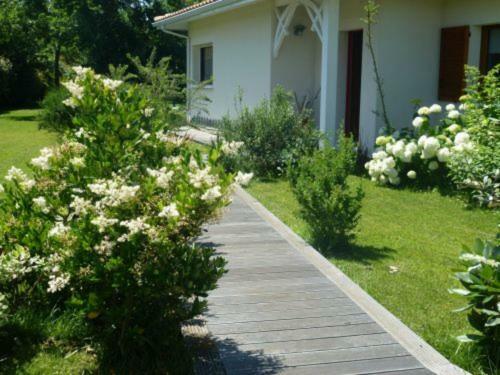 Maison Biscarrosse, 4 Pi�ces, 8 Personnes - Fr-1-521-158