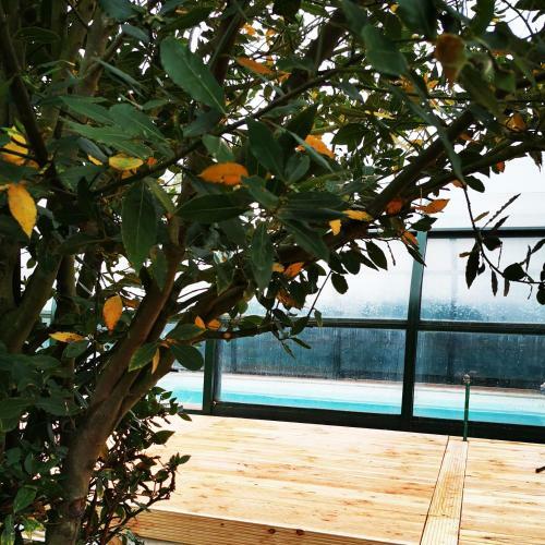 Bed & Breakfast Le Bois Aux Cerfs