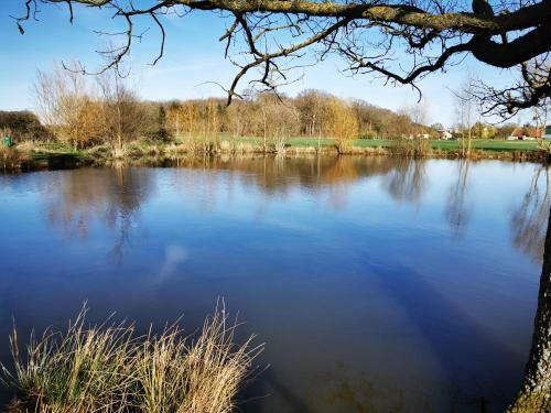Bed & Breakfast Le Bois Aux Cerfs