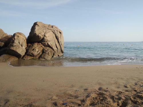 Apartamento Totolulu Cannes Charming Chemin�e