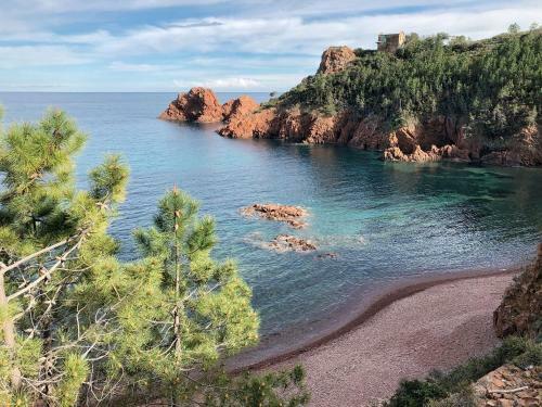 Apartamento Totolulu Cannes Charming Chemin�e