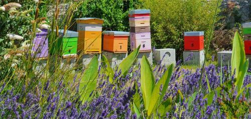 Agroturismo Les 5 R�ches