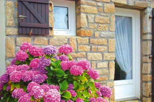 Semi-detached House Damgan-penerf - Bre04314-l