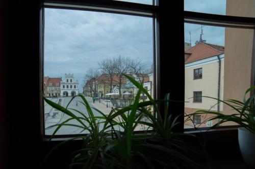 Aparthotel Rynek 16