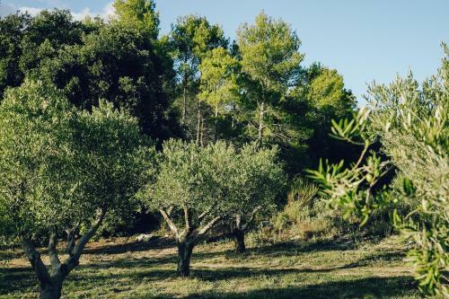 Bed & Breakfast Domaine Monte Verdi