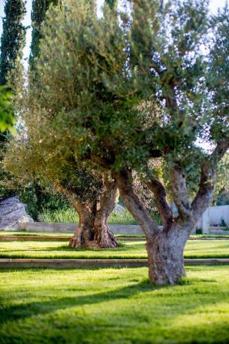 Bed & Breakfast Domaine Monte Verdi