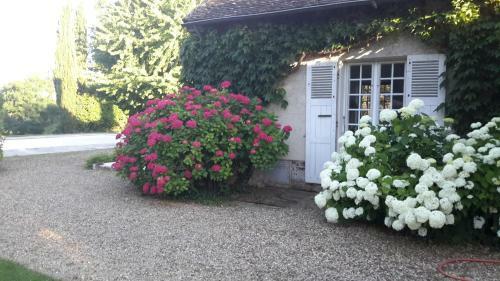 Bed & Breakfast Domaine de L�oiseau