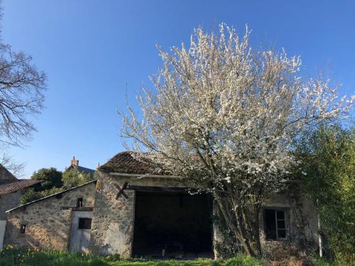 3-bed Farmhouse With Heated In Ground Pool