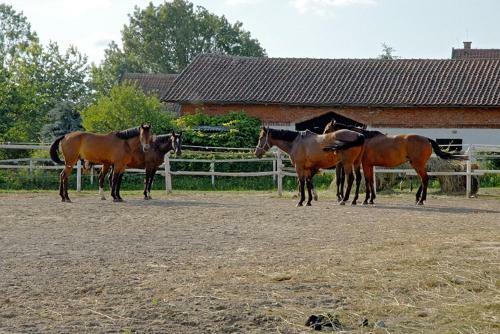 Agroturismo U Franka