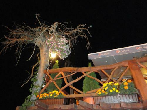 Bed & Breakfast Pensjonat Troll