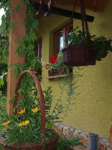 Hostal Zielony Ruczaj