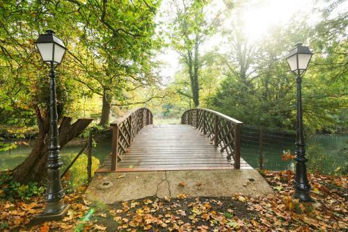 Hallines Chateau Sleeps 26 Wifi