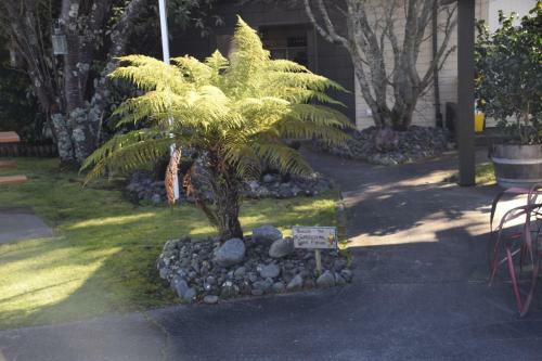 Judges Pool Motel Turangi