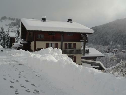 Apartamento Le Grand Nant