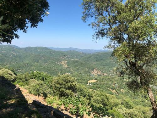 Domaine De Miremer