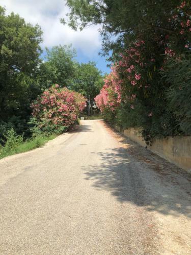 Domaine De Miremer