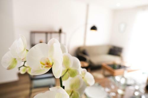 Apartamento Le Grand Chambord
