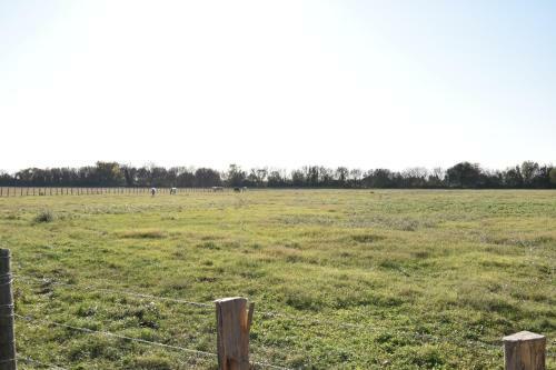 Villa Mas Typique En Pleine Camargue Le Cailar
