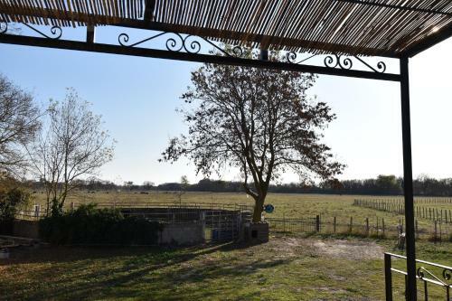 Villa Mas Typique En Pleine Camargue Le Cailar