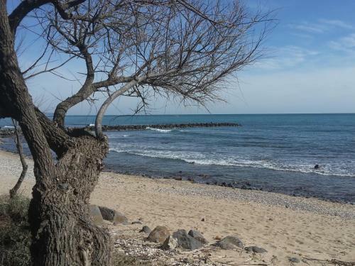 Apartamentos Vue Mer � La Plage Du M�le - Fibre Wifi