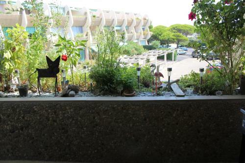 Apartamentos Endless Summer 237 - Port Camargue, Plage Sud