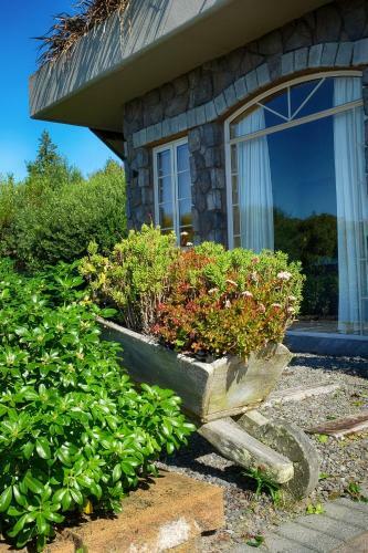 Acacia Bay's Tauhara Sunrise Lodge