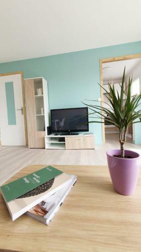 Apartamento La Plage � 100m 45m2 - 4pers