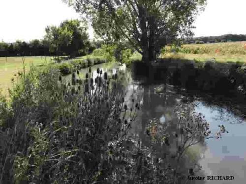 Bed & Breakfast Manoir de Chandoiseau