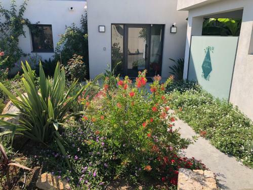 Apartamento Residence Petradoru