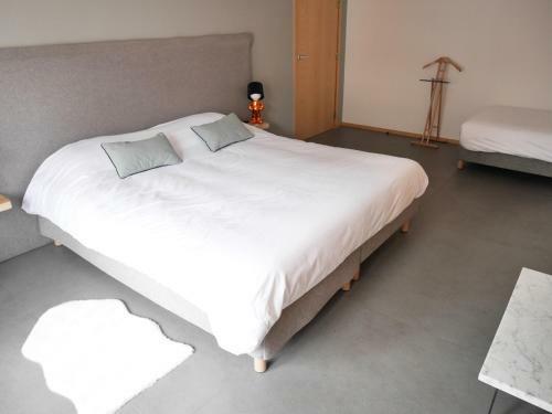 Apartamento Le Chat Qui Dort - Suites