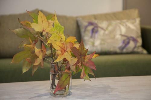 22 Hallenstein Apartment (m2)