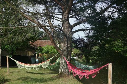 Bed & Breakfast La Fontaine Paraty