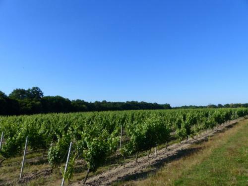 G�te Meillard, 3 Pi�ces, 4 Personnes - Fr-1-489-267