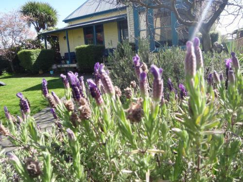 Albergue The Old Countryhouse Backpackers