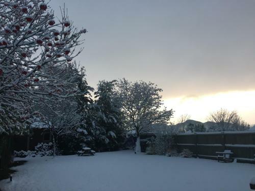 Shotover Top 10 Holiday Park