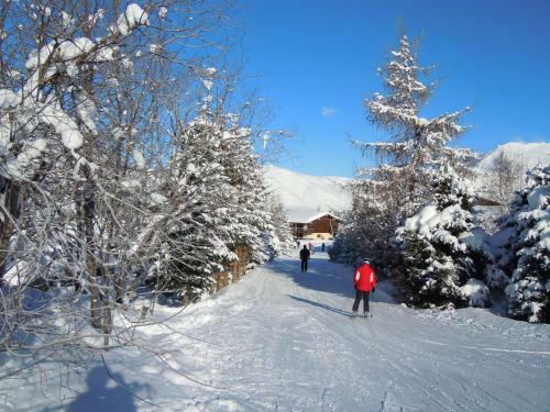 Apartamento Chalets D'or, Les Deux Alpes