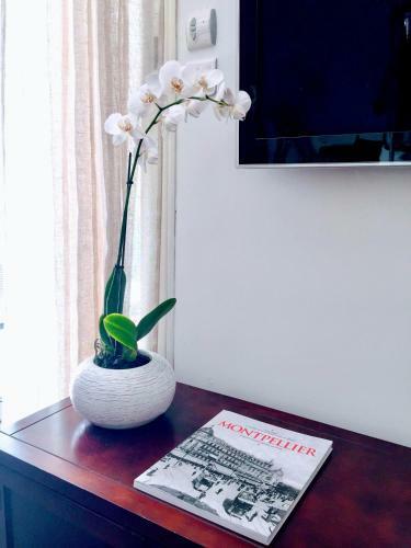 Apartamentos Home Chic Home - La Terrasse Bazille