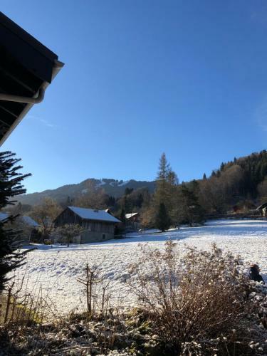 Apartamento 2 Pi�ces Avec Terrasse Morillon Village