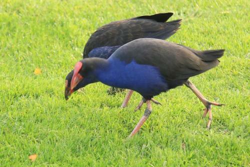 Parklands Marina Holiday Park
