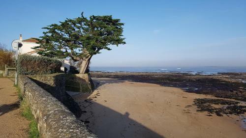 Vacances D�tente � Noirmoutier-en-l'ile