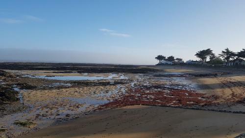 Maison Etrille, Face Mer � Noirmoutier Au Vieil