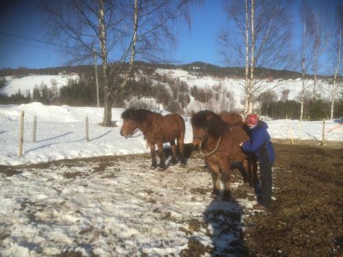 Agroturismo �sgardane Gjestegard