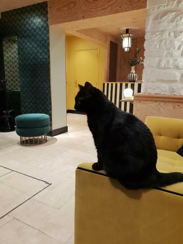 Hotel Denfert-montparnasse