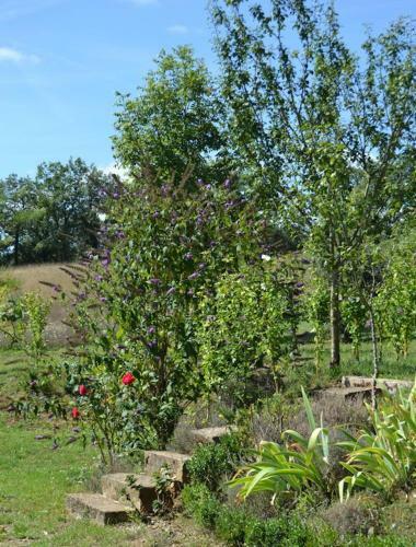 Bed & Breakfast Le Mas De Carri�