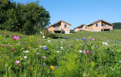 Chalets De Tr�montagne 3 �toiles