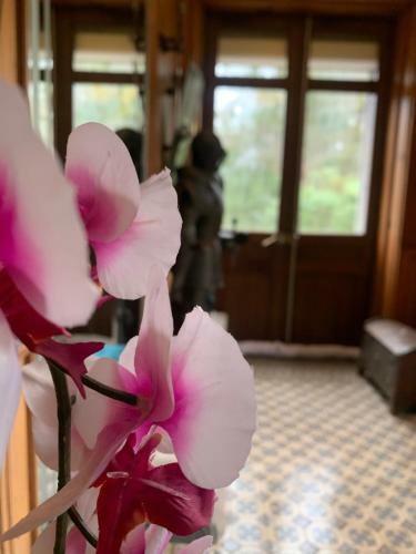 Apartamento Demoiselle Des Roches