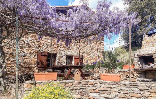 Awesome Home In Roquebrun W/ 2 Bedrooms