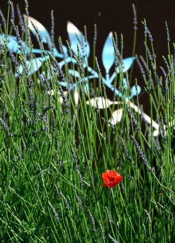Bed & Breakfast Bastide Des Demoiselles